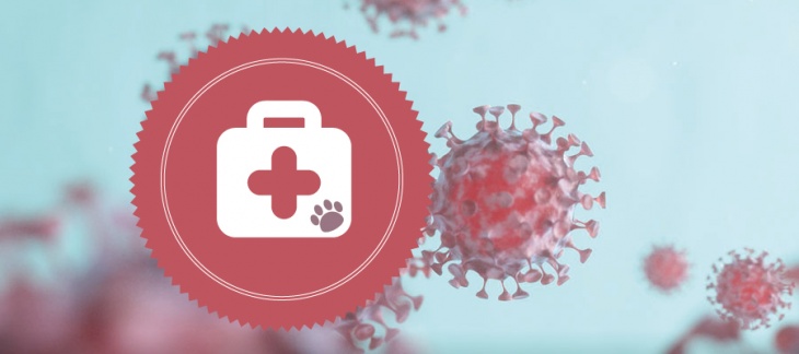 Coronavirus – informations concernant les affaires vétérinaires 