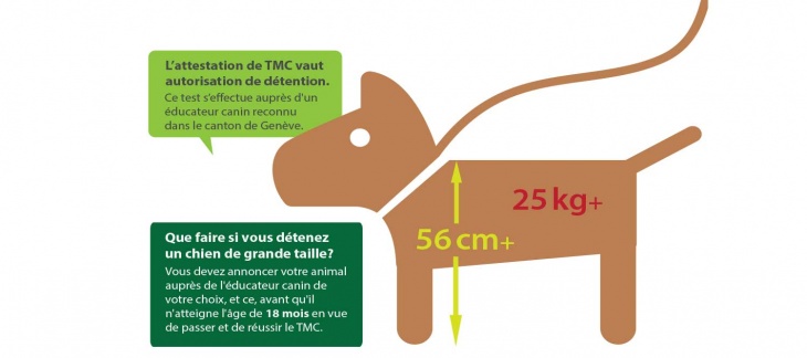 TMC obligatoire pour les chiens de grande taille