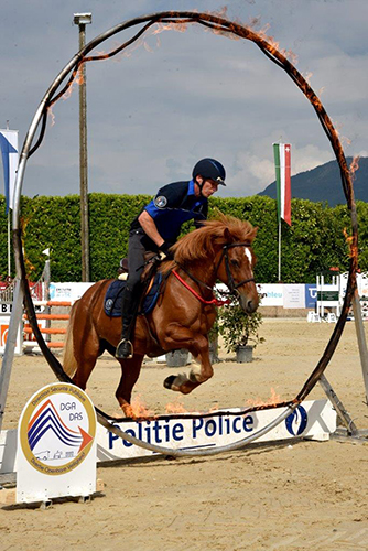 championnat saut d'obstacles