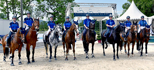 championnat saut d'obstacles