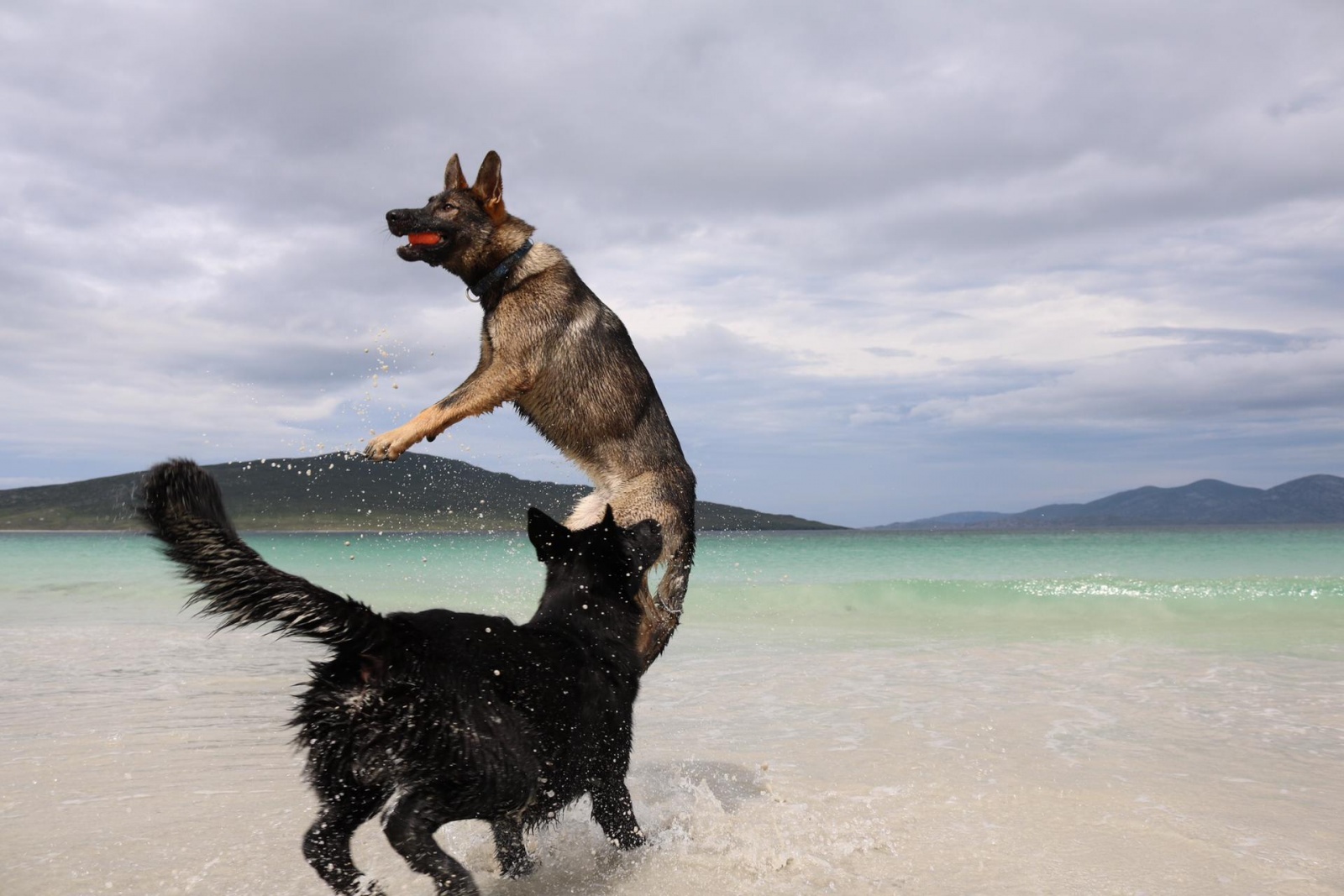 Nox et Kaès jouent devant la mer