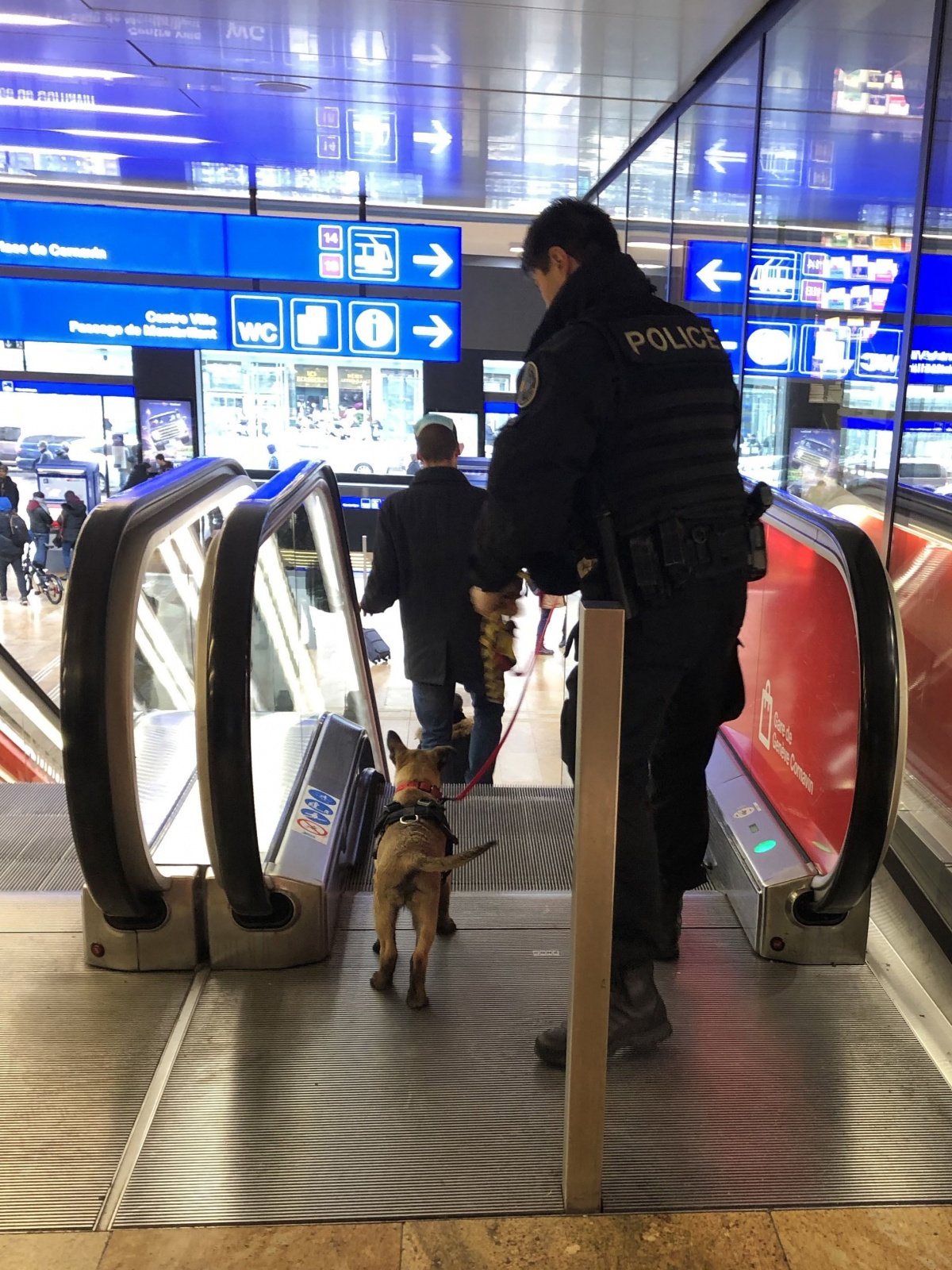 chiot à la gare cornavin