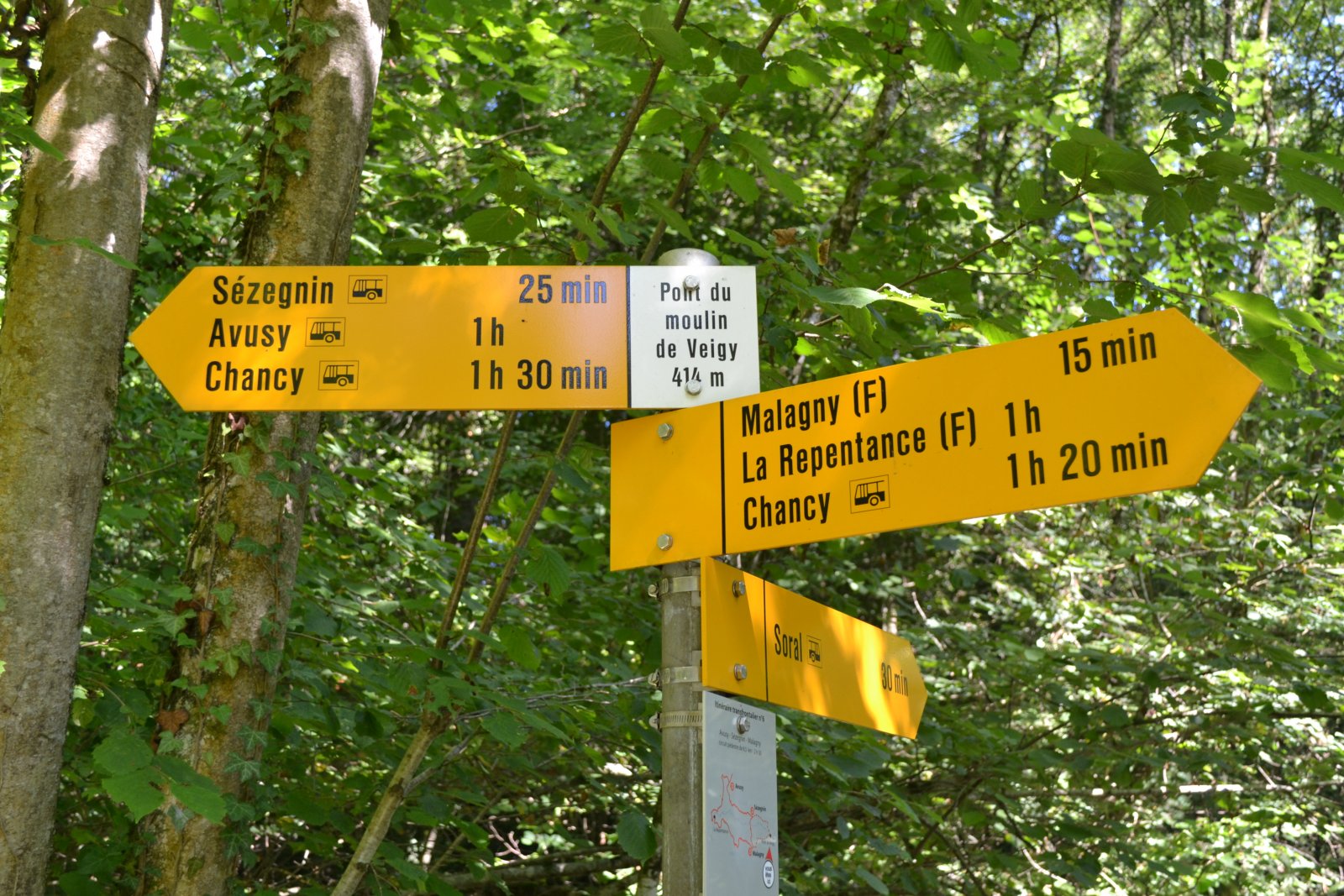 Chemin de randonnée pédestre