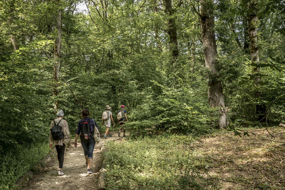 Chemin de randonnée pédestre