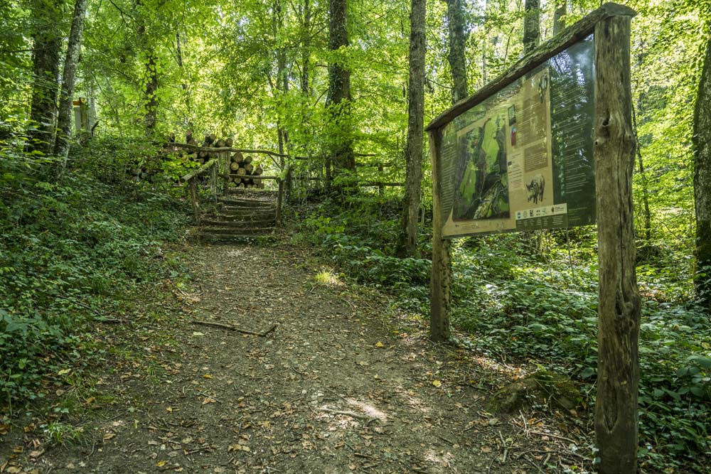 Chemin de randonnée pédestre