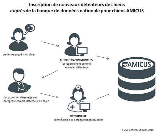 Amicus