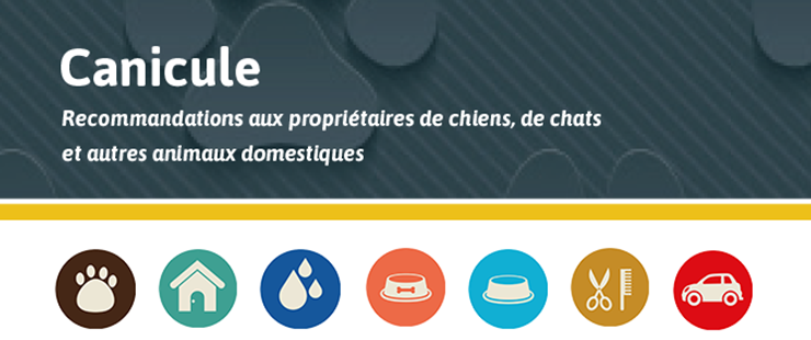 Recommandations aux propriétaires de chiens, de chats et autres animaux domestiques