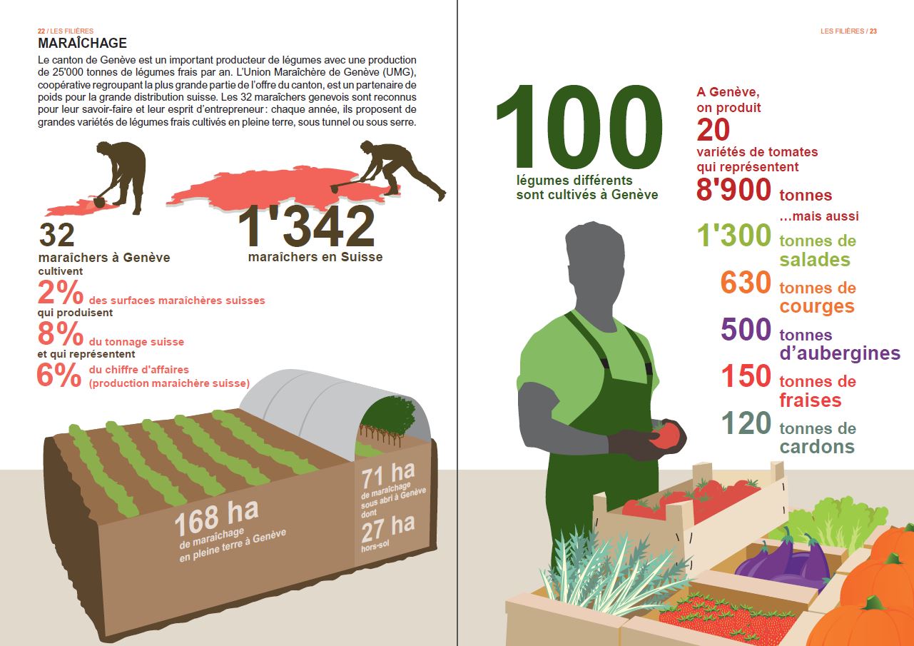 agriculture genevoise en chiffre, maraîchers