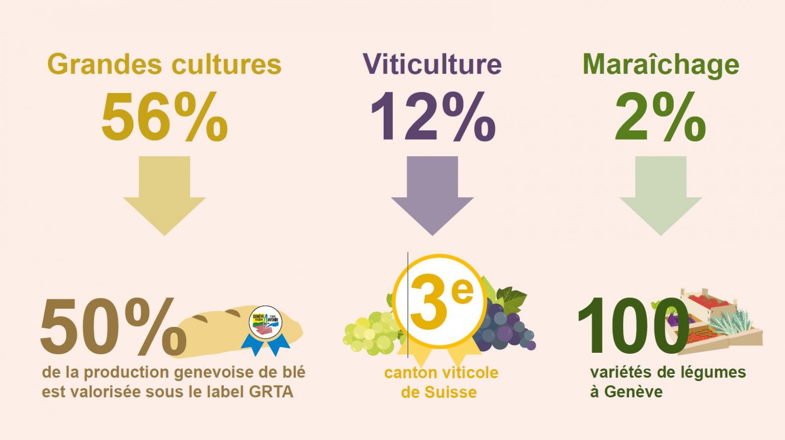 Réparticion surfaces agricoles