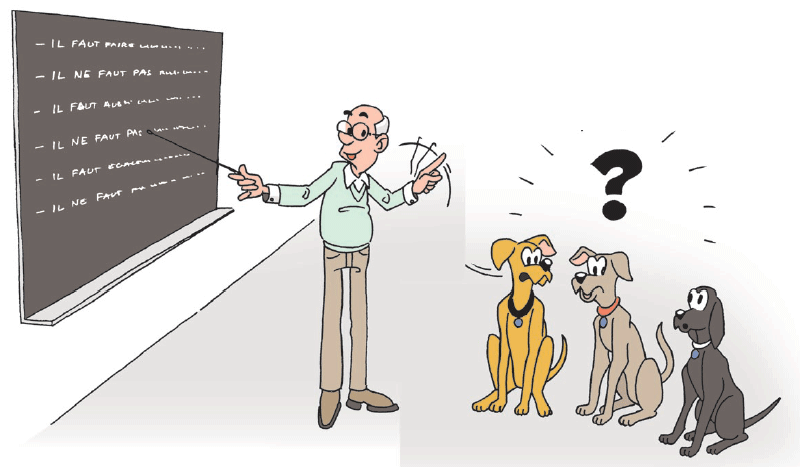 Cours d'éducation canine