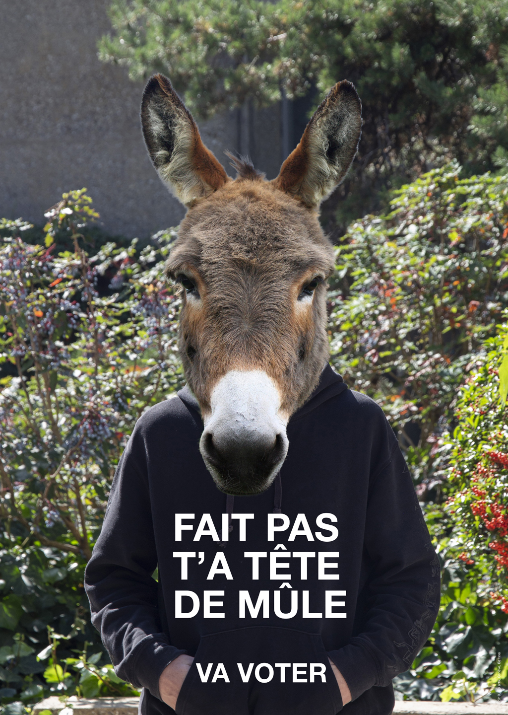 affiche 45