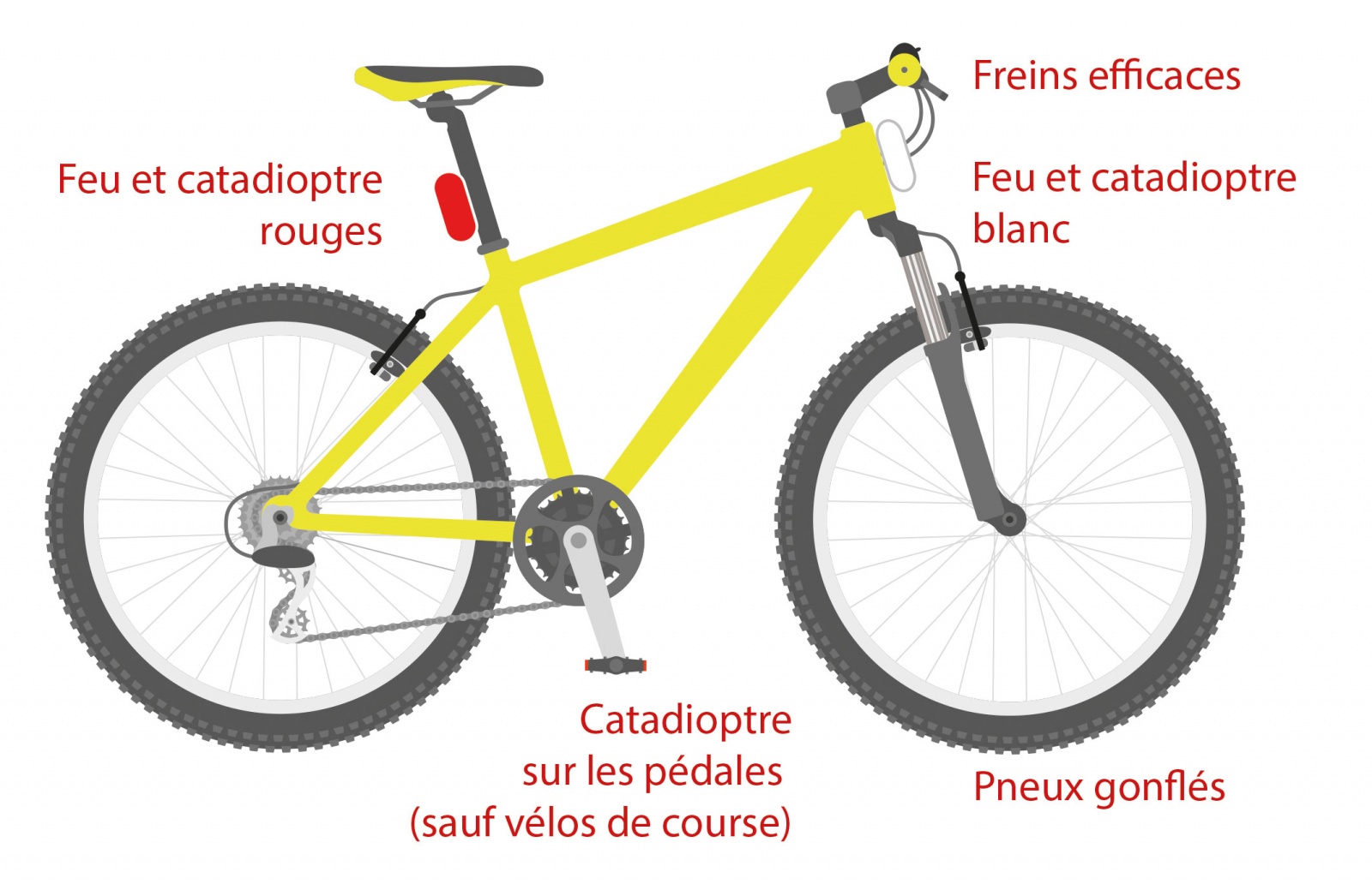 Equipement obligatoire 
