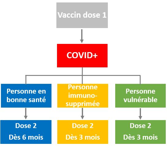 Vaccin dose 1 dose 2 après COVID