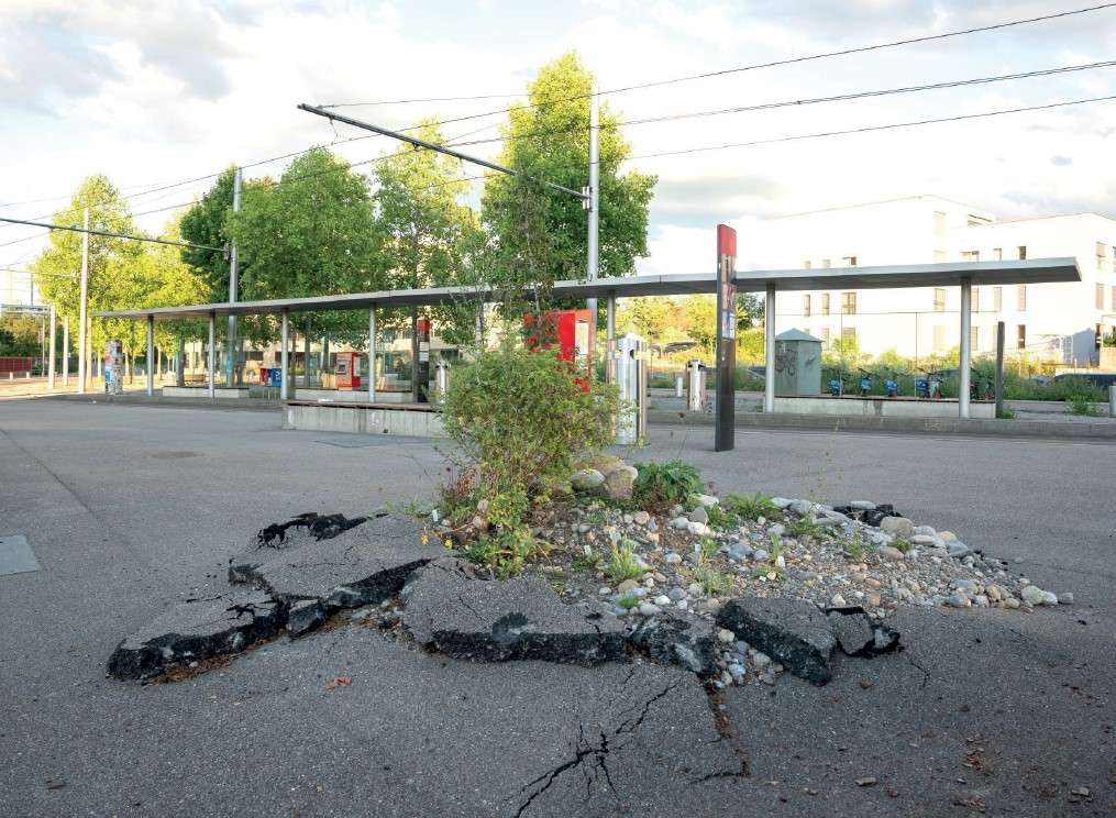 Illustration webinaire sol urbain