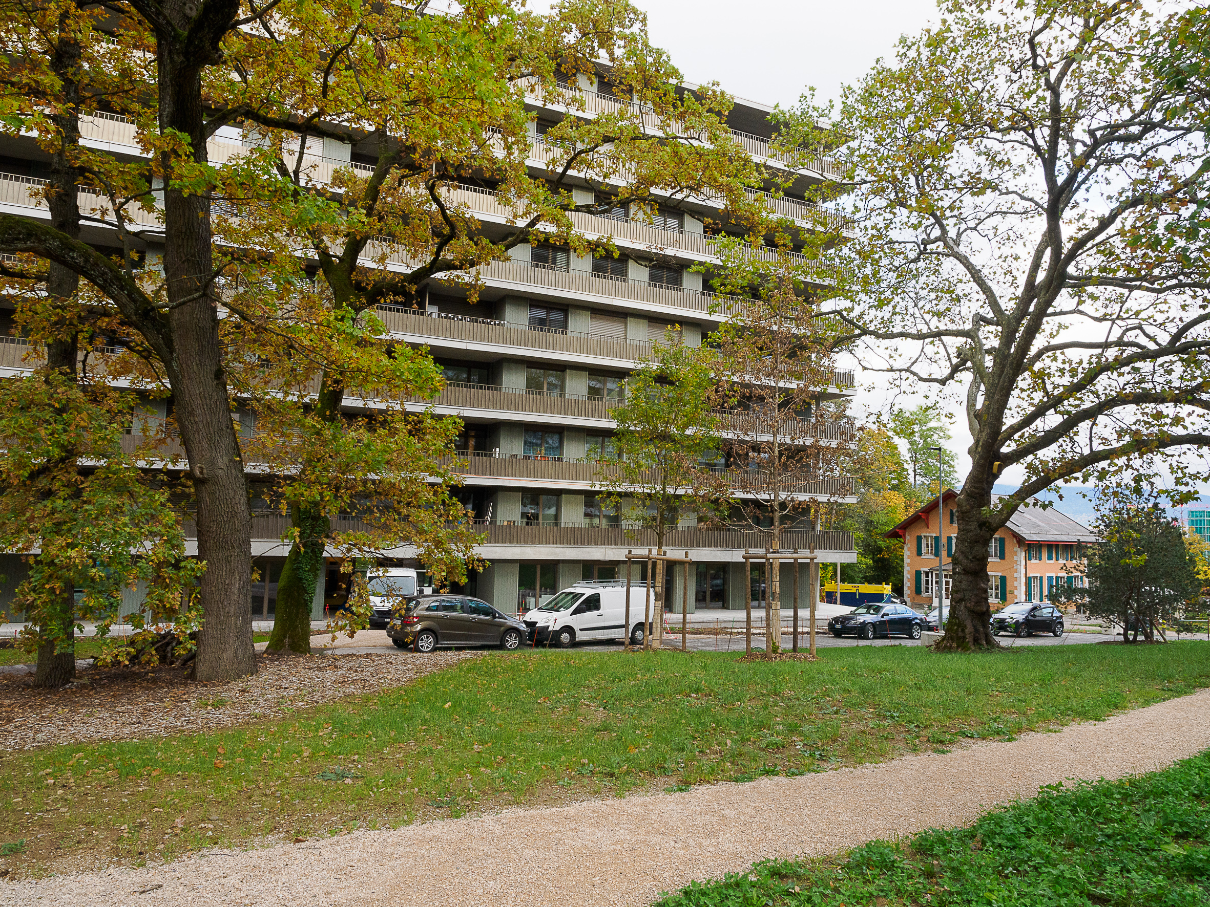 Quartier Surville . de grands arbres autour des immeubles © Daniel Gubler