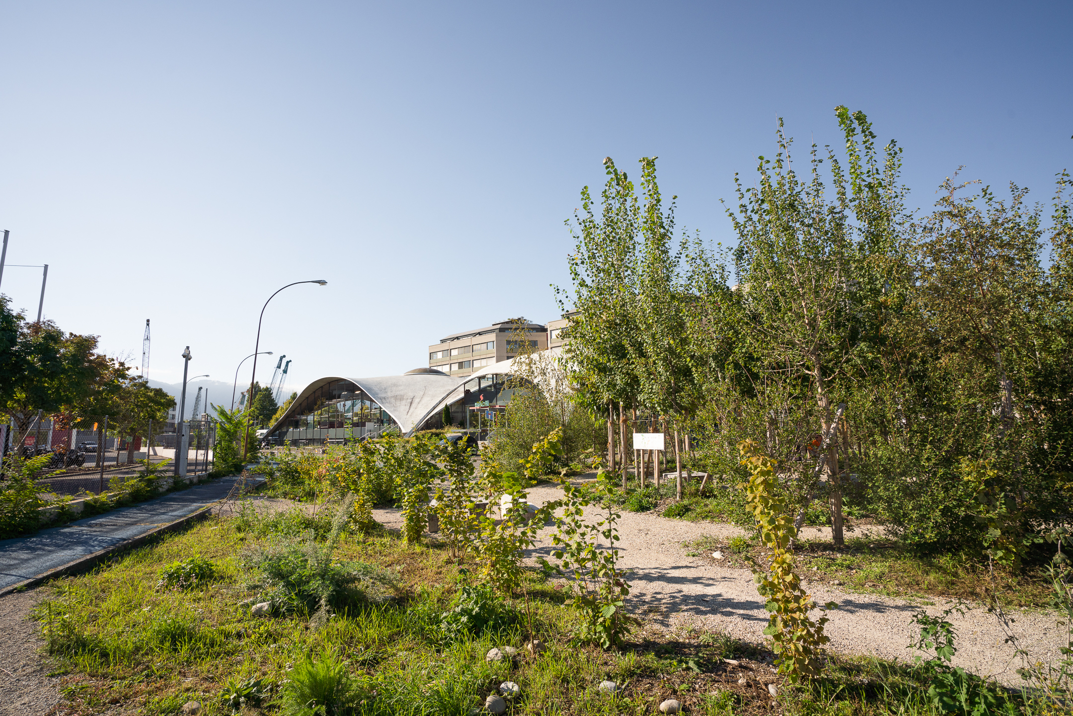 Cool city Boissonnas @ Geoffrey Cherubin