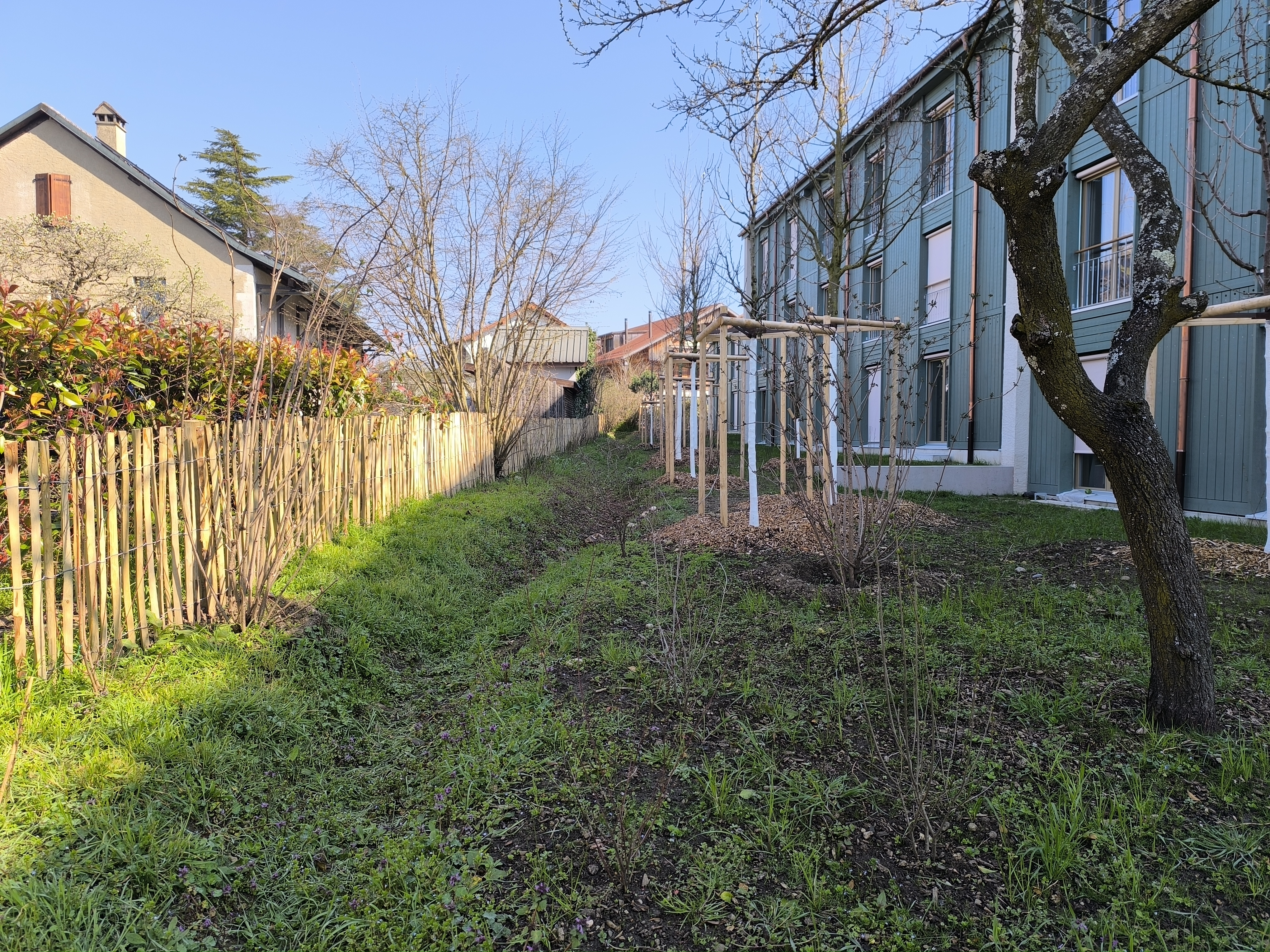 Le quartier côté jardin