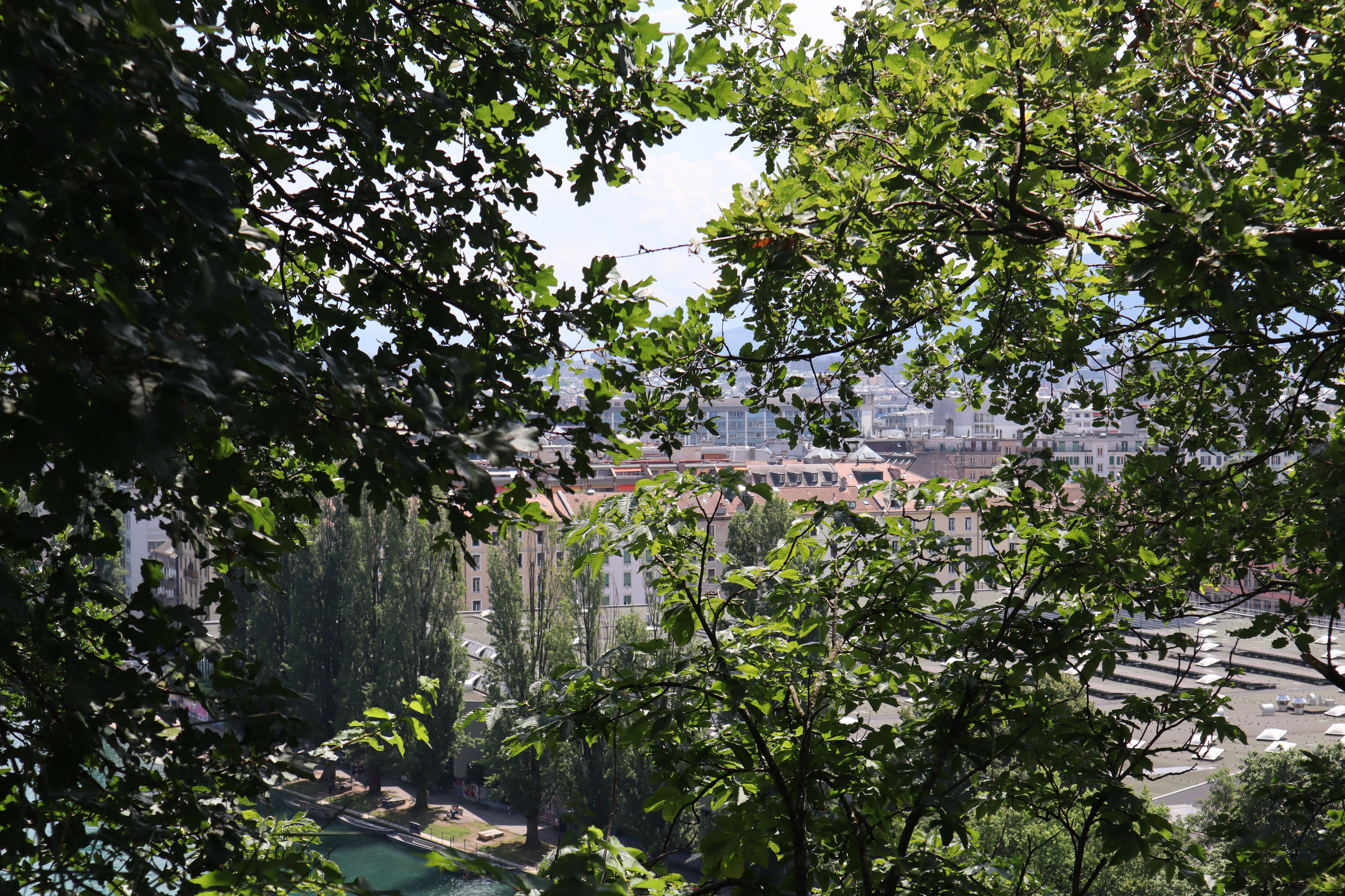 Rhône Genève