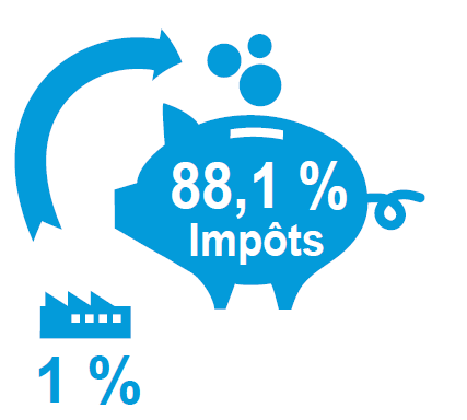 1% des personnes morales paie 88,1% de l’impôt sur le capital