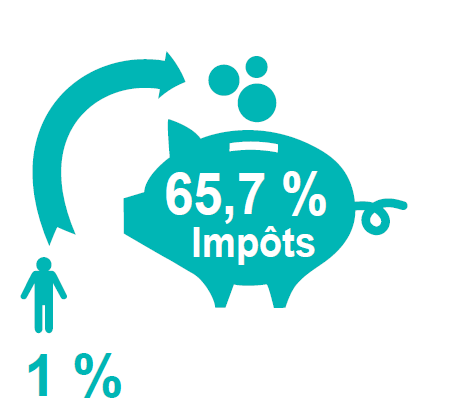 1% des personnes physique paient plus de 65% de l'impôt sur la fortune.