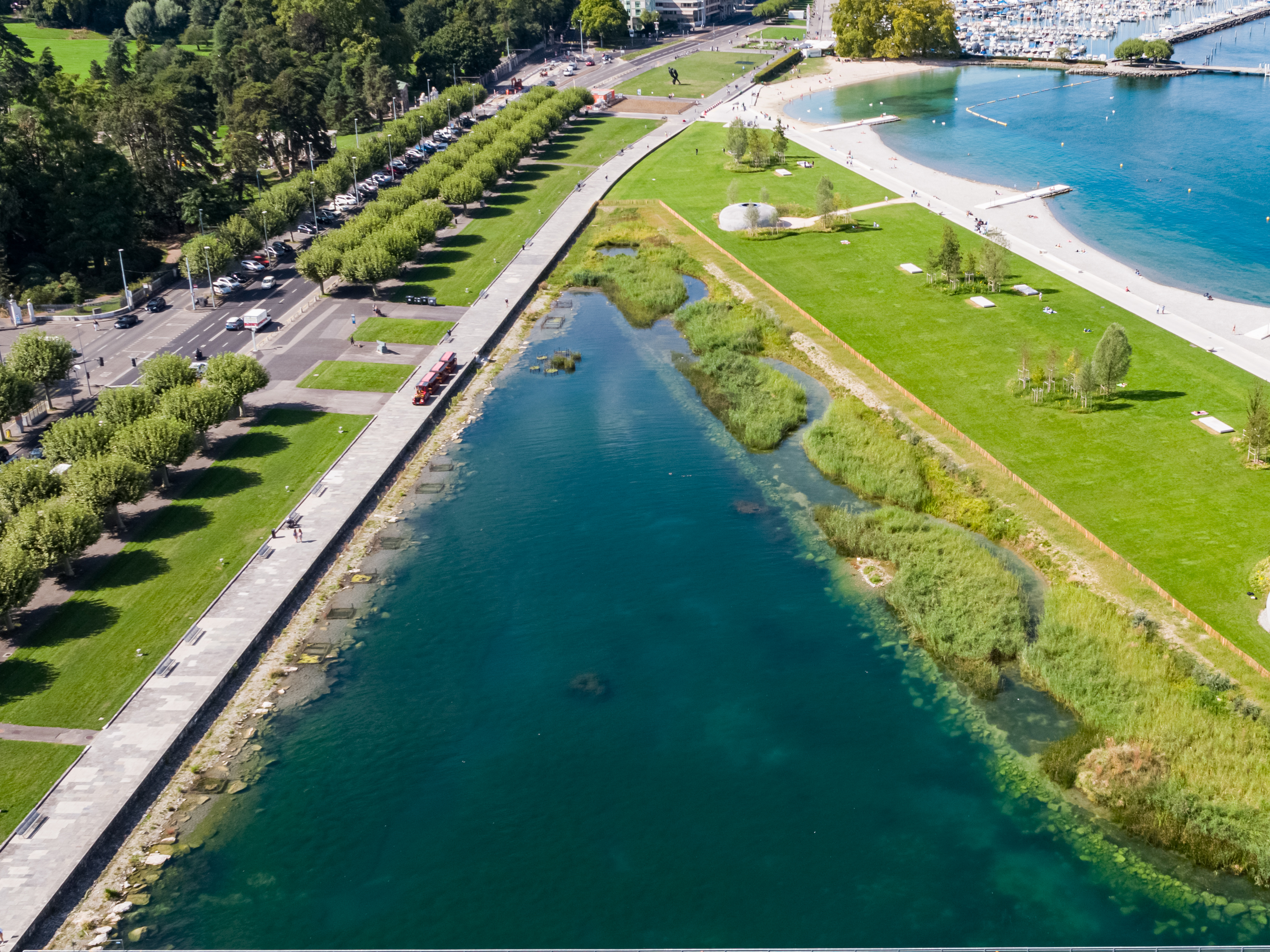 Lagune des Eaux-Vives en 2020