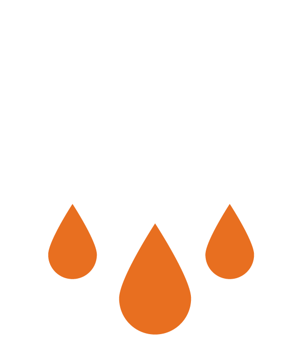 Congelation du poisson