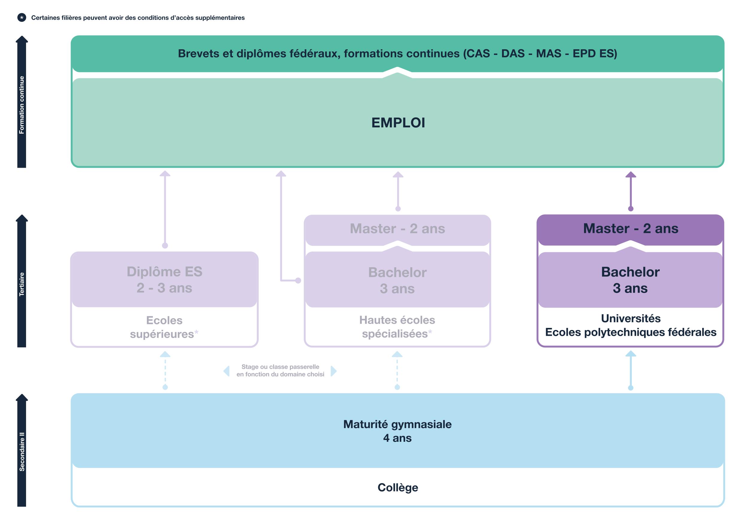 schéma des voies de formation après le collège