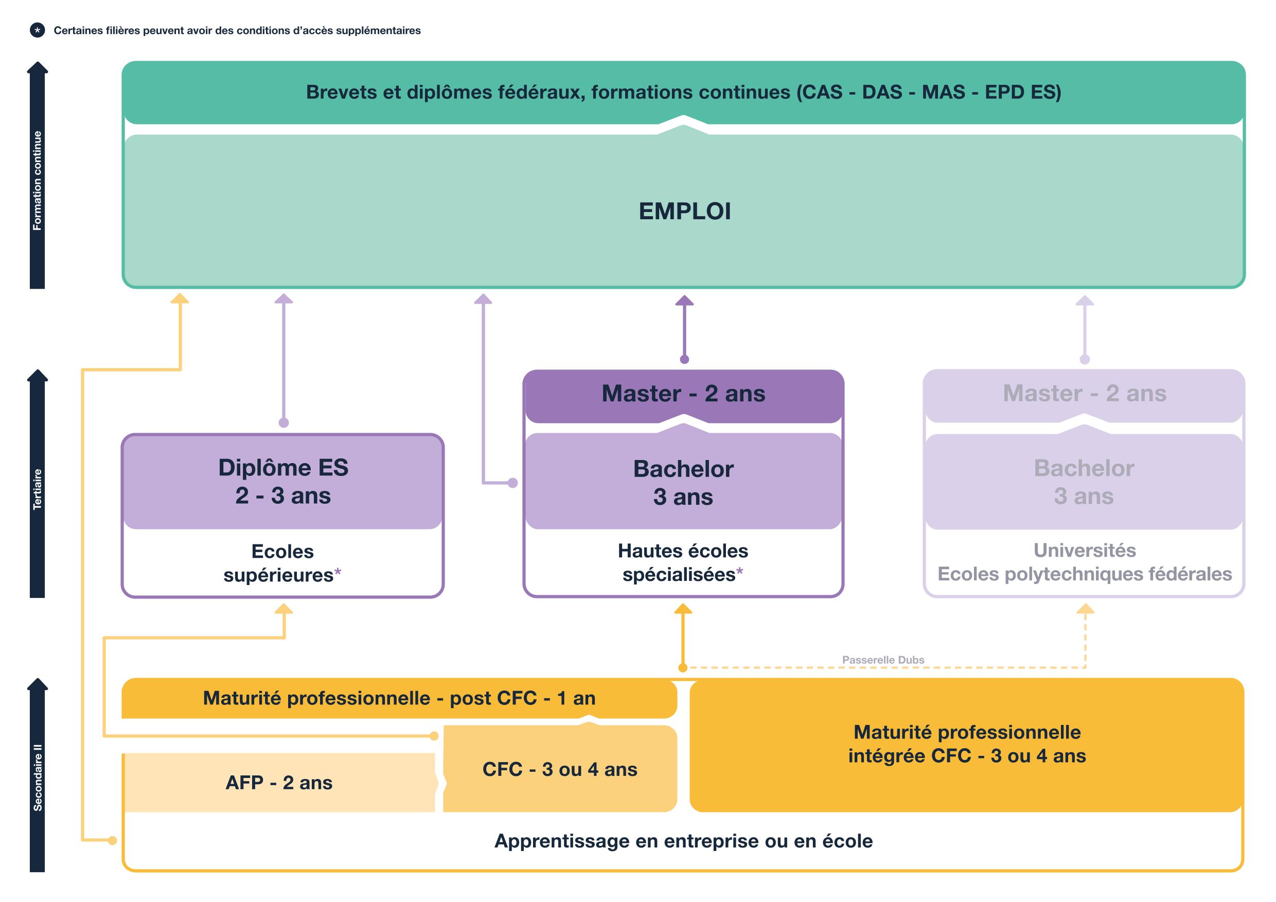 schéma des voies de formation après l'apprentissage