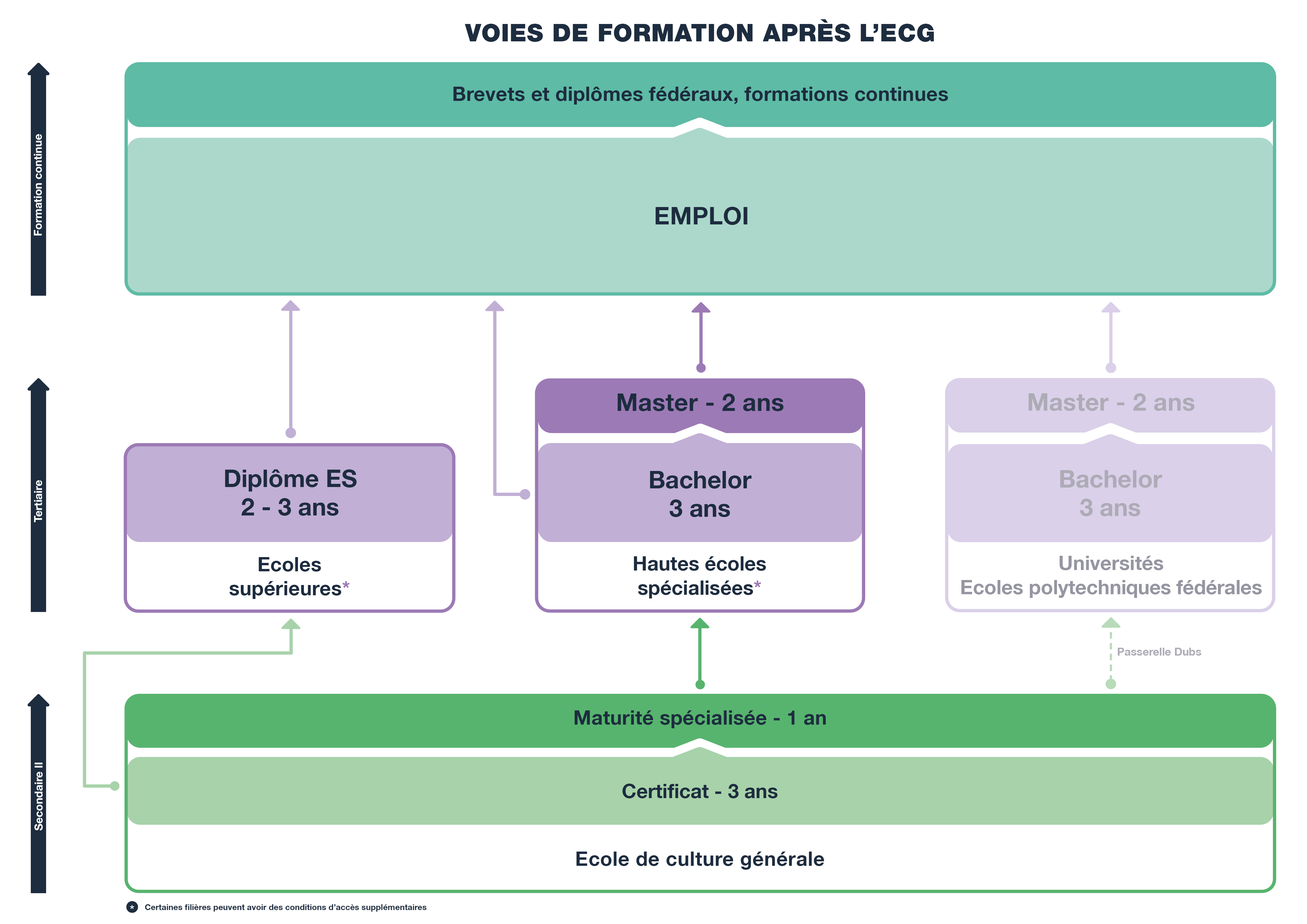 Schéma des voies de formation ECG