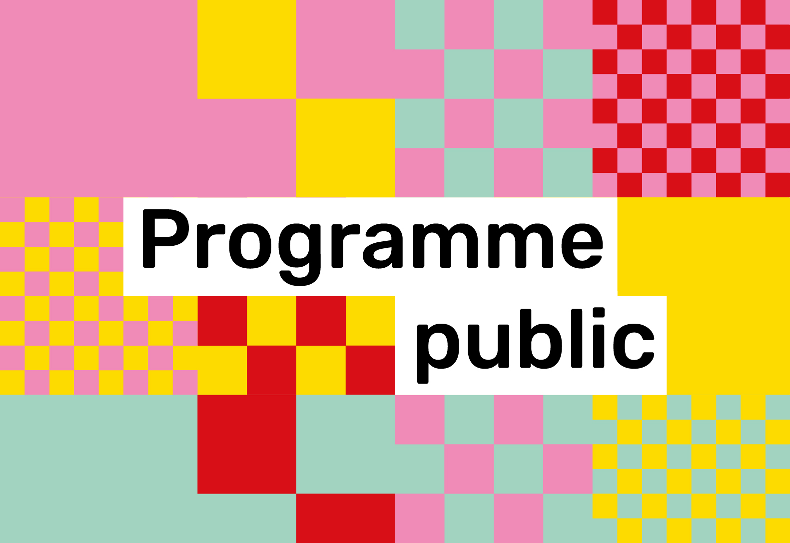 Programme public