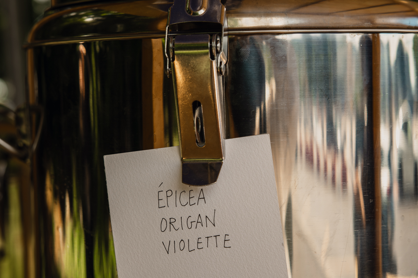 Boisson épicéa, origran, violette à la buvette kiosque en bois des Nations - photo: Nolwenn Pernin
