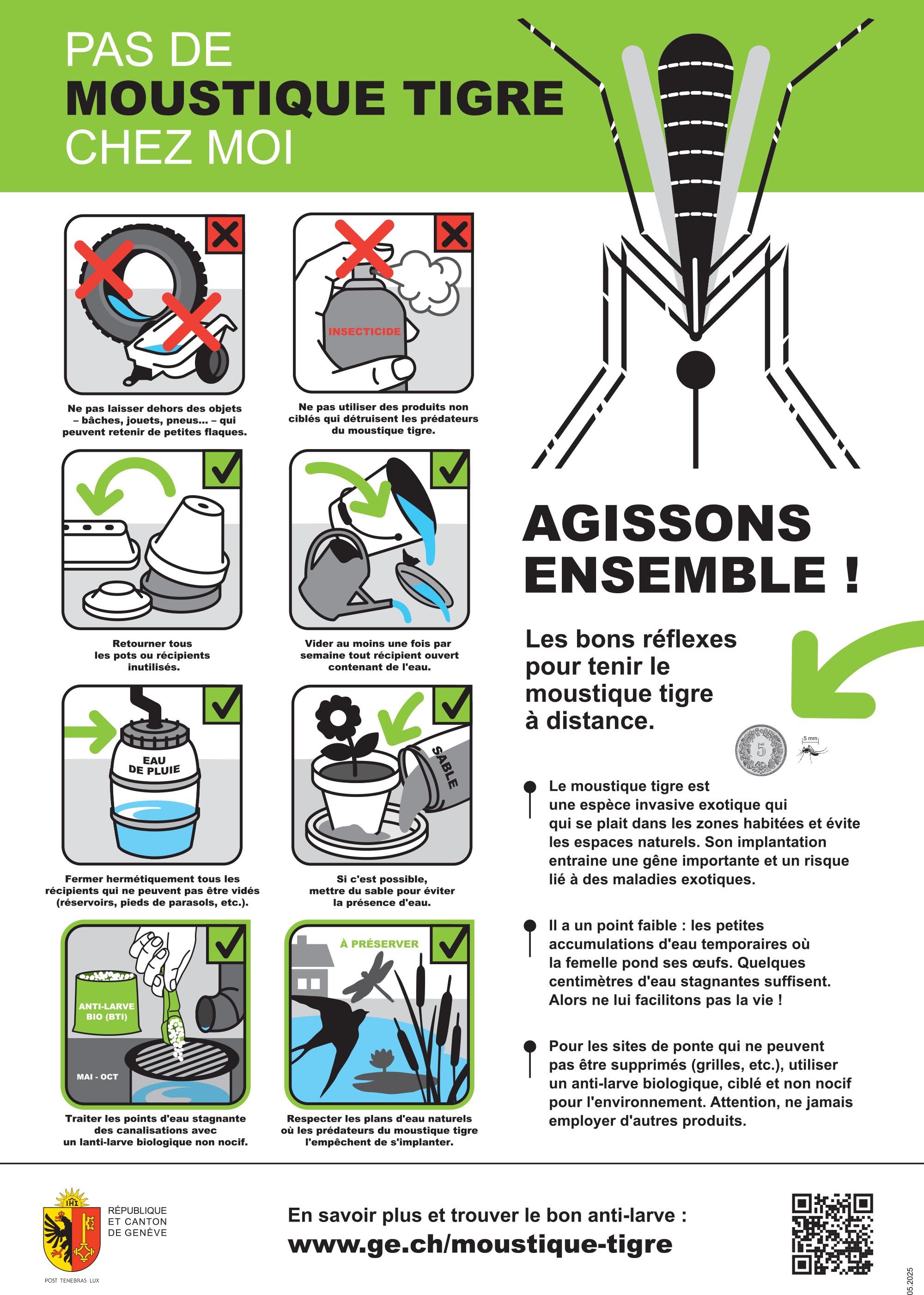 Affichette Moustique Tigre A3
