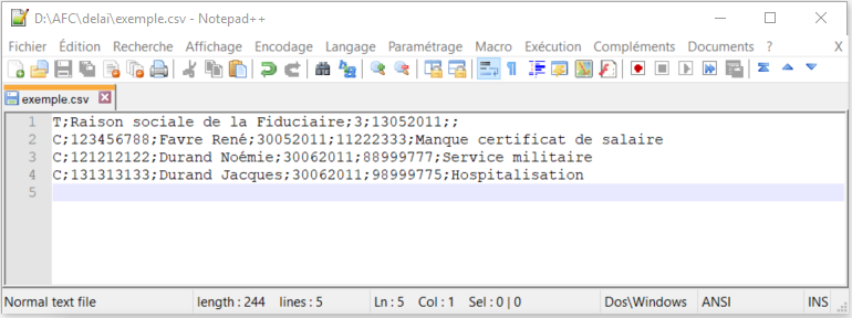 Saisie fichier CSV avec Notepad++