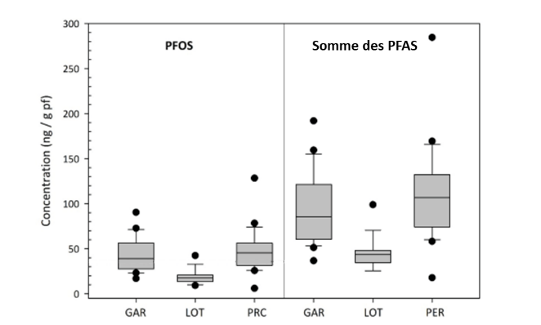 Graphique PFAS