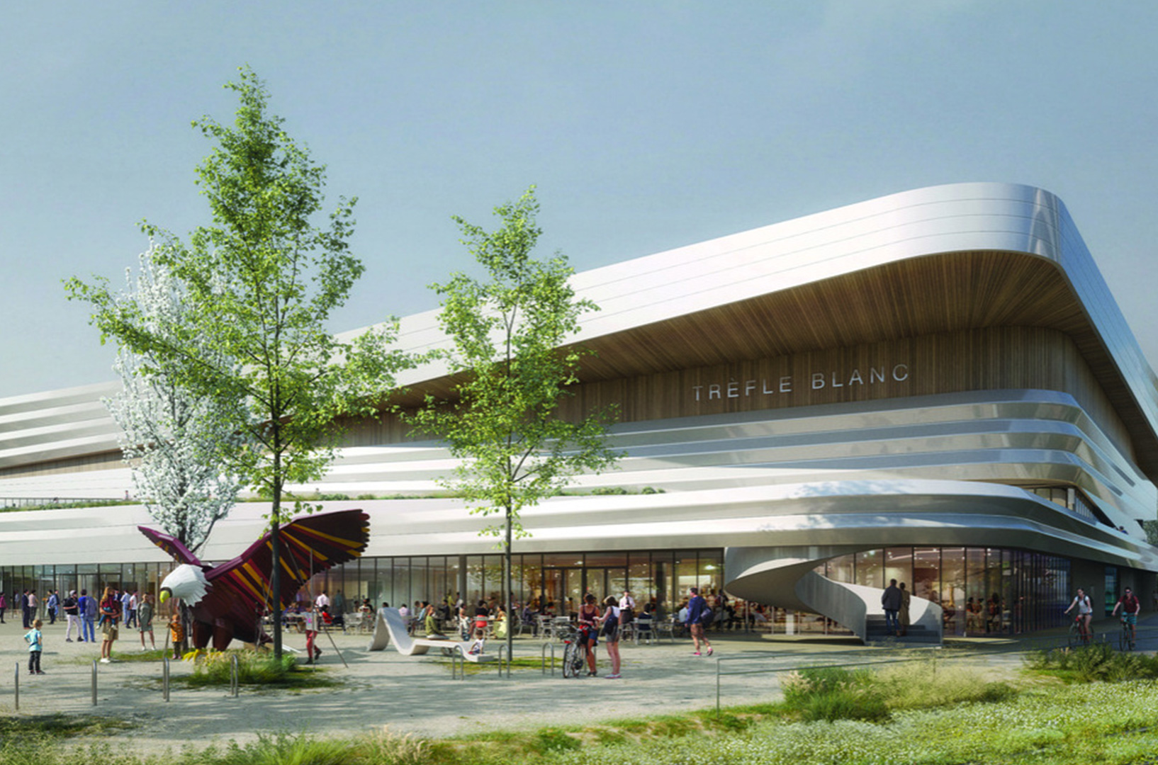 Projet Patinoire Trèfle Blanc