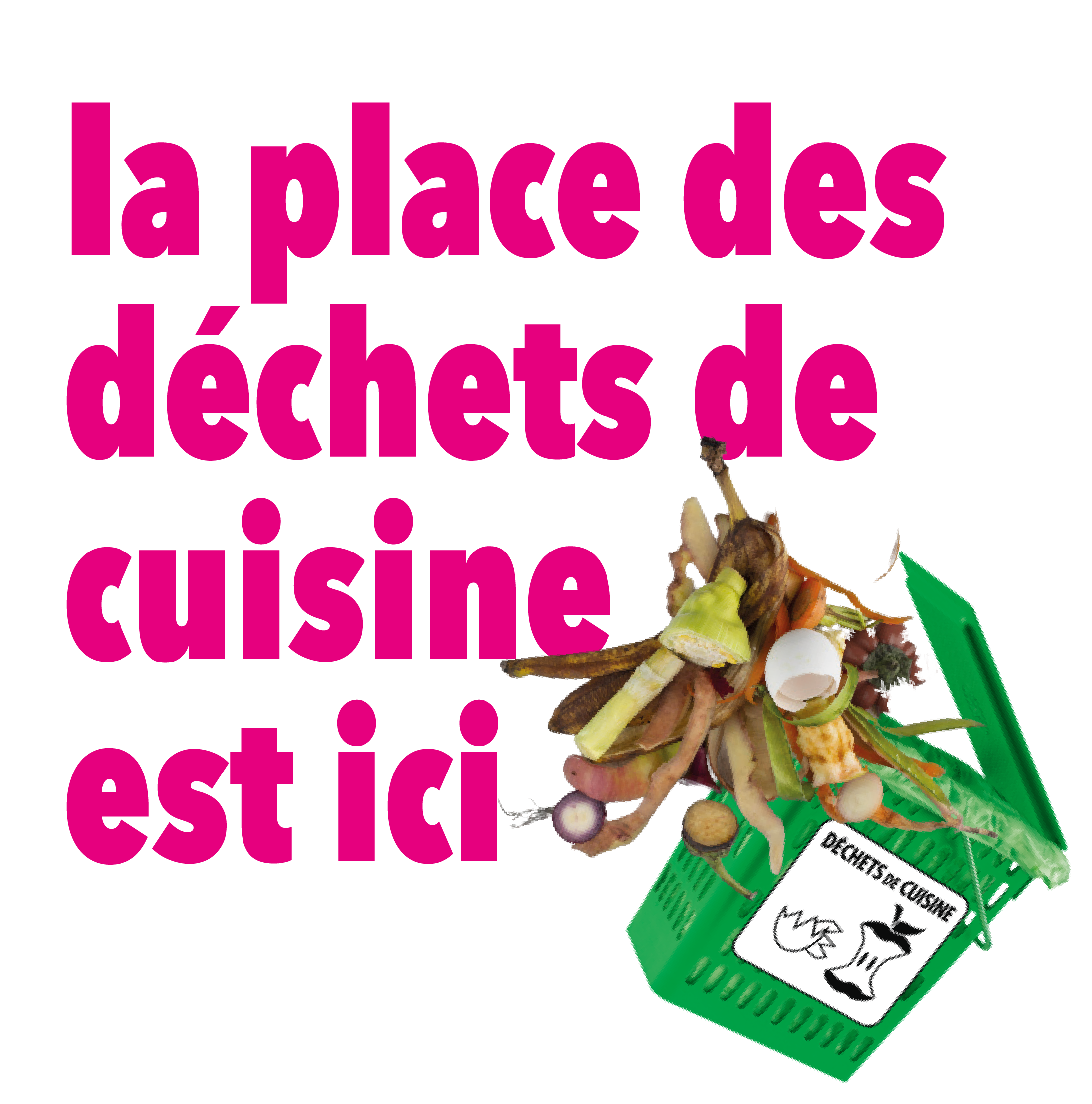 déchets cuisine