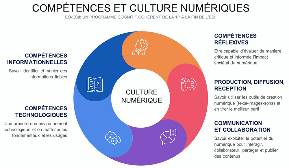 référentiel de compétences numériques