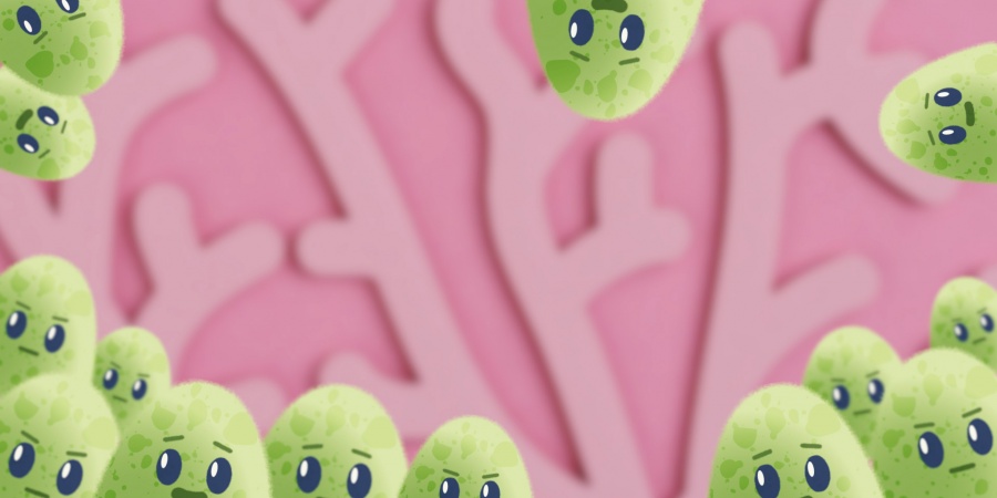 Les bons gestes pour se protéger du virus Les bons gestes pour se protéger du virus