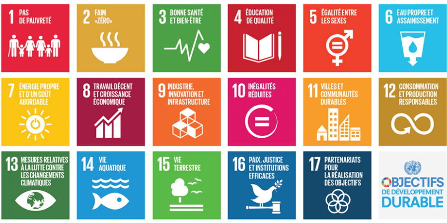 Objectifs du développement durable ODD