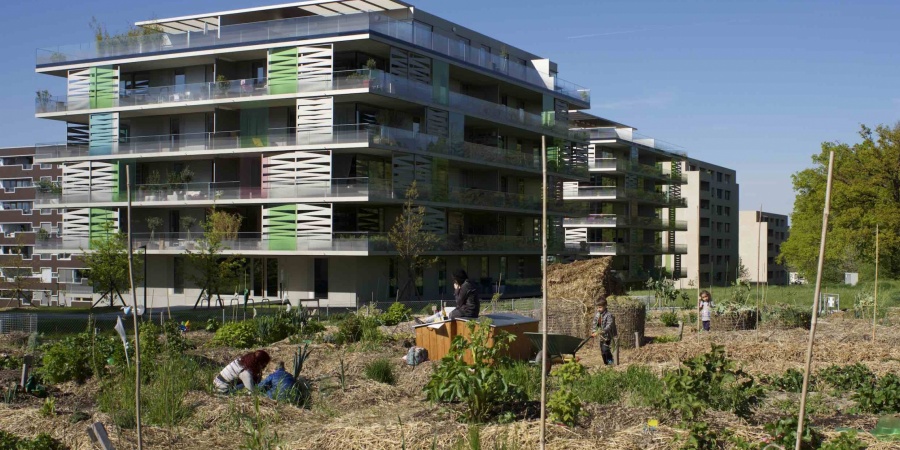 Des espaces publics favorisant la nature en ville, ici La Chapelle, un principe pour Cointrin © De Limoges Des espaces publics favorisant la nature en ville, ici La Chapelle, un principe pour Cointrin © De Limoges