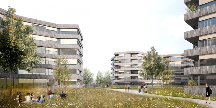 Projet lauréat du concours © Pont 12 architectes SA Projet lauréat du concours © Pont 12 architectes SA