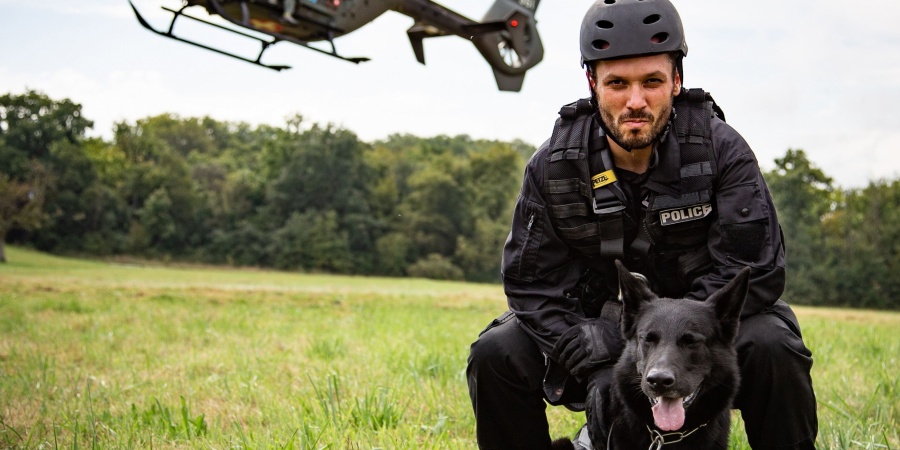 Brigade des chiens