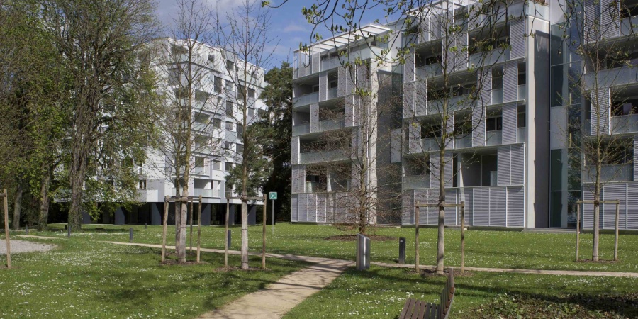 Une arborisation soutenue, ici les Hauts de Malagnou, un principe pour Cointrin © De Limoges Une arborisation soutenue, ici les Hauts de Malagnou, un principe pour Cointrin © De Limoges