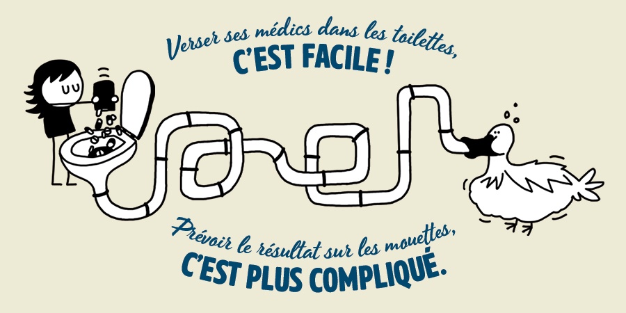 Verser ses médics dans les toilettes, c'est facile ! Prévoir le résultat sur les mouettes, c'est plus compliqué. Illustration Oh mon eau ! Toilettes