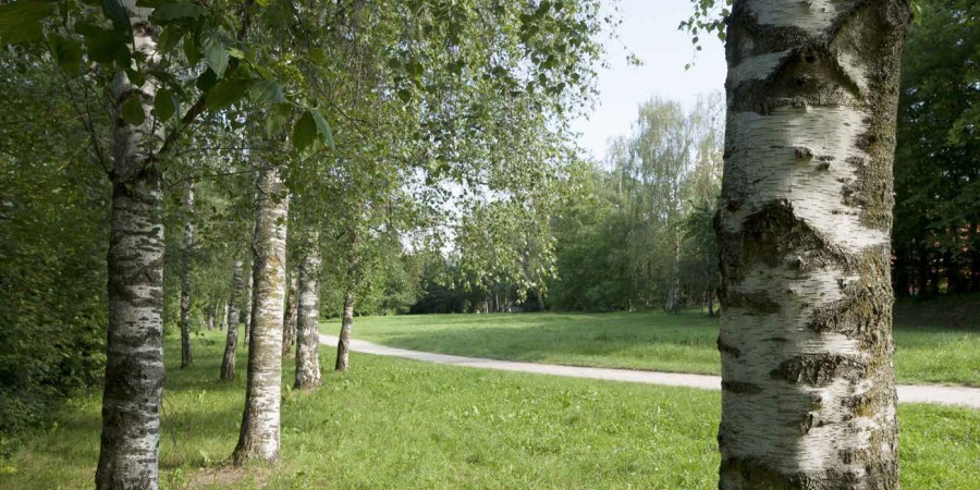 Parc des Evaux / Olivier Zimmermann Parc des Evaux / Olivier Zimmermann