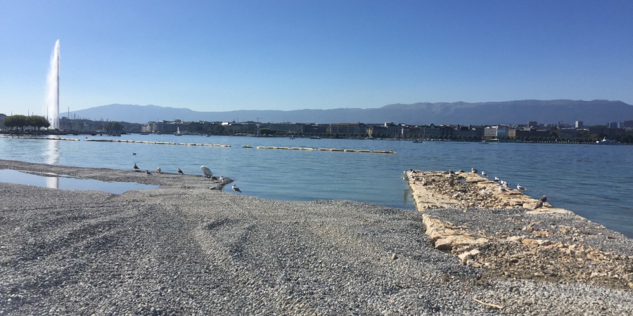 Chantier de la Plage Publique des Eaux-Vives, septembre 2018. Plage Publique Eaux-Vives