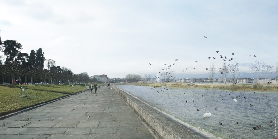 Visuel indicatif du jardin d'eau et de sa roselière © Archigraphie.ch La jardin d'eau de la Plage publique des Eaux-Vives