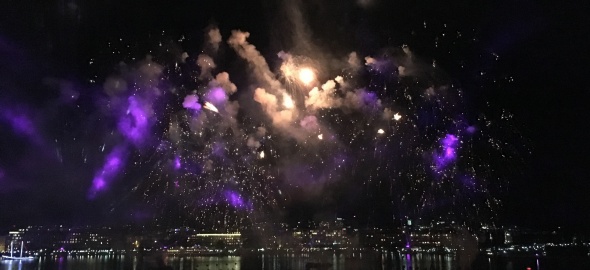 Protégez vos animaux du bruit des feux d'artifice !