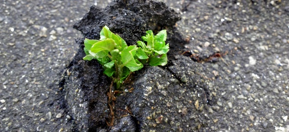 Genève lance un processus d'innovation collaborative pour renforcer durablement le tissu économique et social du canton