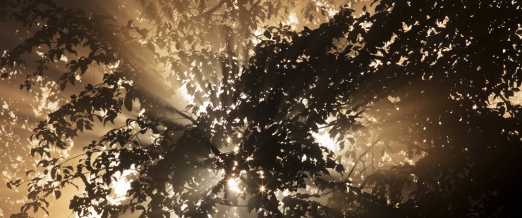 Période chaude et sèche: appel à la prudence Période chaude et sèche: appel à la prudence